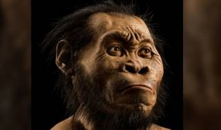 Homo naledi 300 000 лет назад хоронили своих собратьев и вырезали знаки в пещерах, - утверждают ученые