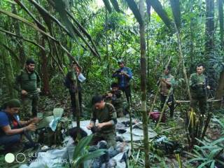 Четверых детей нашли живыми через 40 дней после авиакатастрофы в тропическом лесу
