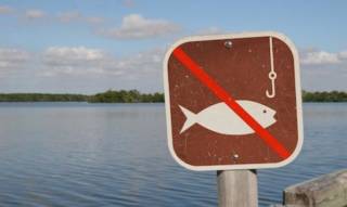 На юге Украины в водоемах запретили ловить рыбу