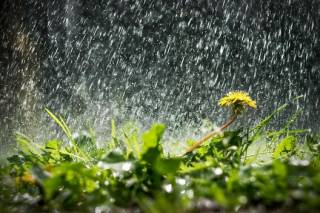 В Украине ожидается нестабильная погода с дождями