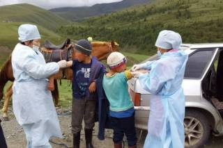 Бубонная чума в Монголии: средневековый кошмар возвращается