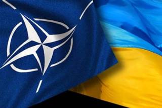 Стало известно, когда в НАТО рассмотрят вопрос членства Украины в Альянсе