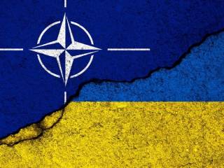 Поляки выступили против вступления Украины в НАТО