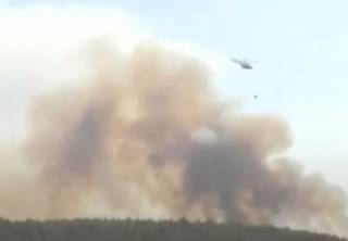Появилось видео эпичного лесного пожара возле одного из аэропортов в Турции