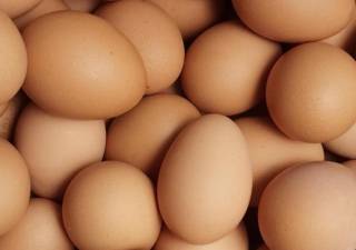 Украина запретила курятину и яйца из Польши