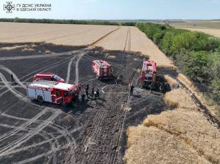 В Одесской области сгорел урожай пшеницы