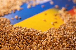 В ЕС озвучили, сколько зерна сейчас заблокировано в Украине