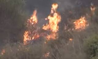 Жуткие лесные пожары в Африке оборвали десятки жизней
