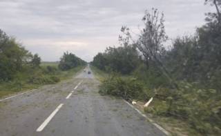 Непогода основательно прошлась по трем областям Украины: стало известно о последствиях