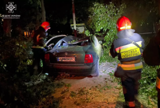 Из-за непогоды почти по всей Украине падали деревья