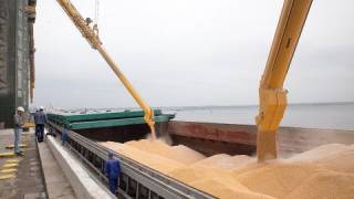Россия созрела к переговорам по «зерновой сделке», — США