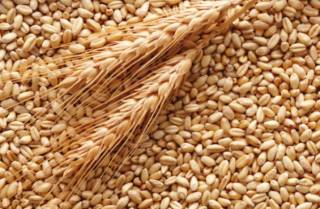Индия хочет купить у России девять миллионов тонн пшеницы