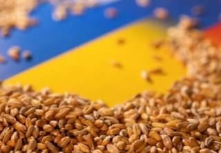 Подсчитано, сколько зерна уже экспортировала Украина