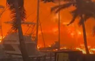 Масштабные пожары на Гавайях продолжают убивать людей