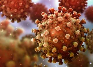 В ВОЗ сомневаются, что коронавирус появился из лаборатории