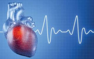 Здоровое сердце: британский медик назвала четыре ключевых фактора