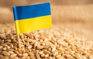 В Украине улучшили прогноз урожая зерна