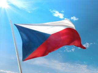 Чехия призвала не подталкивать Украину к мирным переговорам с Россией