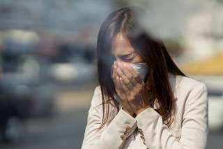 Воздух в Европе отравлен: чистым дышат лишь 2% населения