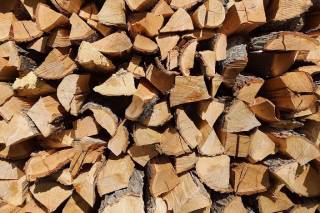 Цены на дрова в Украине хотят снизить