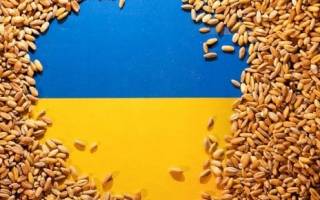 В Украине прогнозируется шикарный урожай зерна