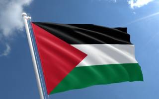 Палестина назвала военные действия Израиля геноцидом