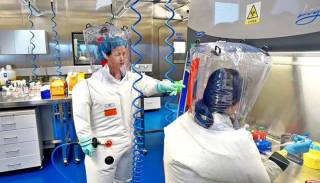 Китайцы открыли 8 новых вирусов, теперь они с ними экспериментируют