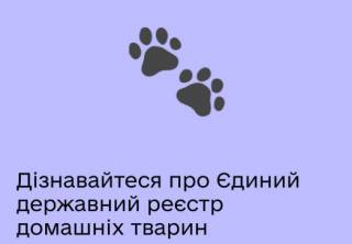 Реестр домашних животных в Украине заработает уже скоро