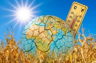 Эксперты спрогнозировали аномальный рост смертности из-за жары в мире