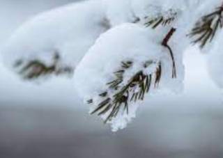 Климатолог прогнозирует, что грядущая зима в Украине будет теплой