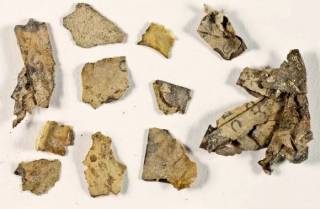 В израильской «Пещере ужаса» нашли 1900-летние фрагменты Библии