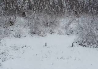 Одну из областей Украины основательно занесло снегом: местный житель показал видео