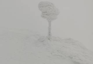 На высокогорье Карпат вовсю бушует зима – держится крепкий мороз