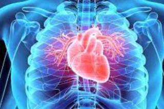 Американские кардиологи выявили новый фактор болезней сердца