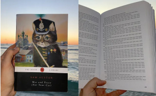 Книги «котячою мовою» випускає видавництво The Meow Library