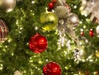 Стало известно, когда и где в Киеве установят новогоднюю елку