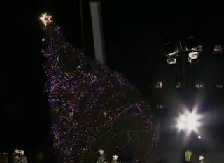 Появилось видео, как в Вашингтоне рухнула рождественская елка