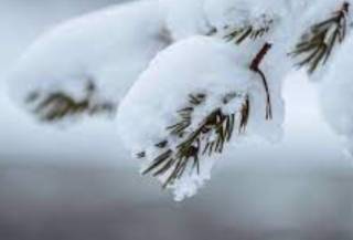 Метеоролог поведала, какой будет зима в Украине