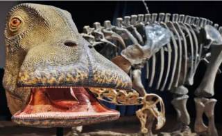 У какого динозавра было 500 зубов?
