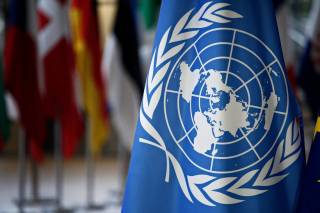 В ООН сделали заявление по поводу языкового вопроса в Украине