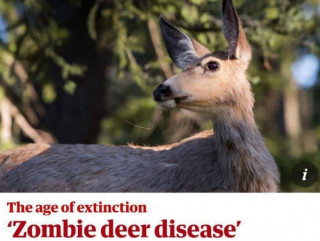 Зомбі-вірус CWD поширюється в США: поки що серед оленів