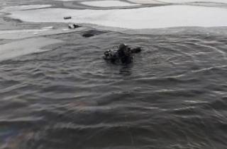 Зимой украинцы массово гибнут на воде