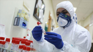 В Україні зареєстровано три випадки нового субваріанту коронавірусу Pirola
