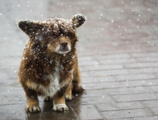 Синоптики розповіли українцям, якою буде погода на початку цього року