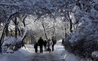 Украинцев предупреждают об усилении морозов и гололедице