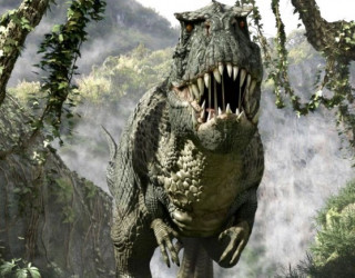 Динозаври спали, як курки? Палеонтолог відповів на запитання про давніх гігантів
