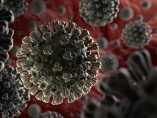 Виявлено зв'язок між коронавірусом та зниженням когнітивних здібностей
