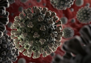 Українці продовжують масово вмирати від коронавірусу та грипу