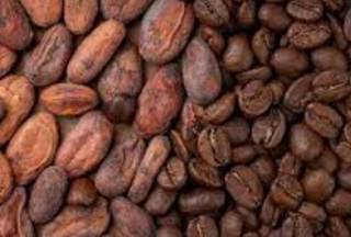 В мире рекордно подорожали какао-бобы