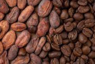 У світі рекордно подорожчали какао-боби